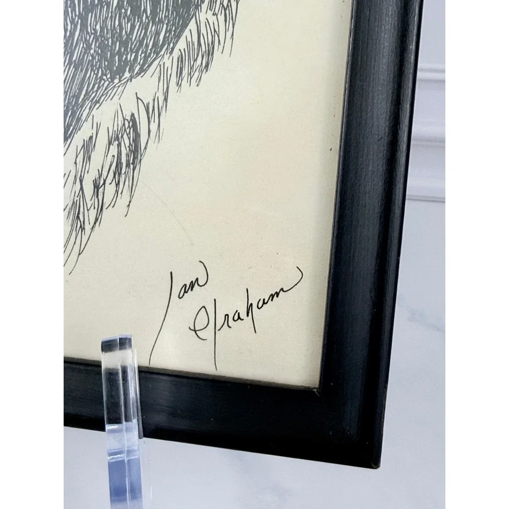 Original Framed Signed Art Ink Drawing of Lion 11.5